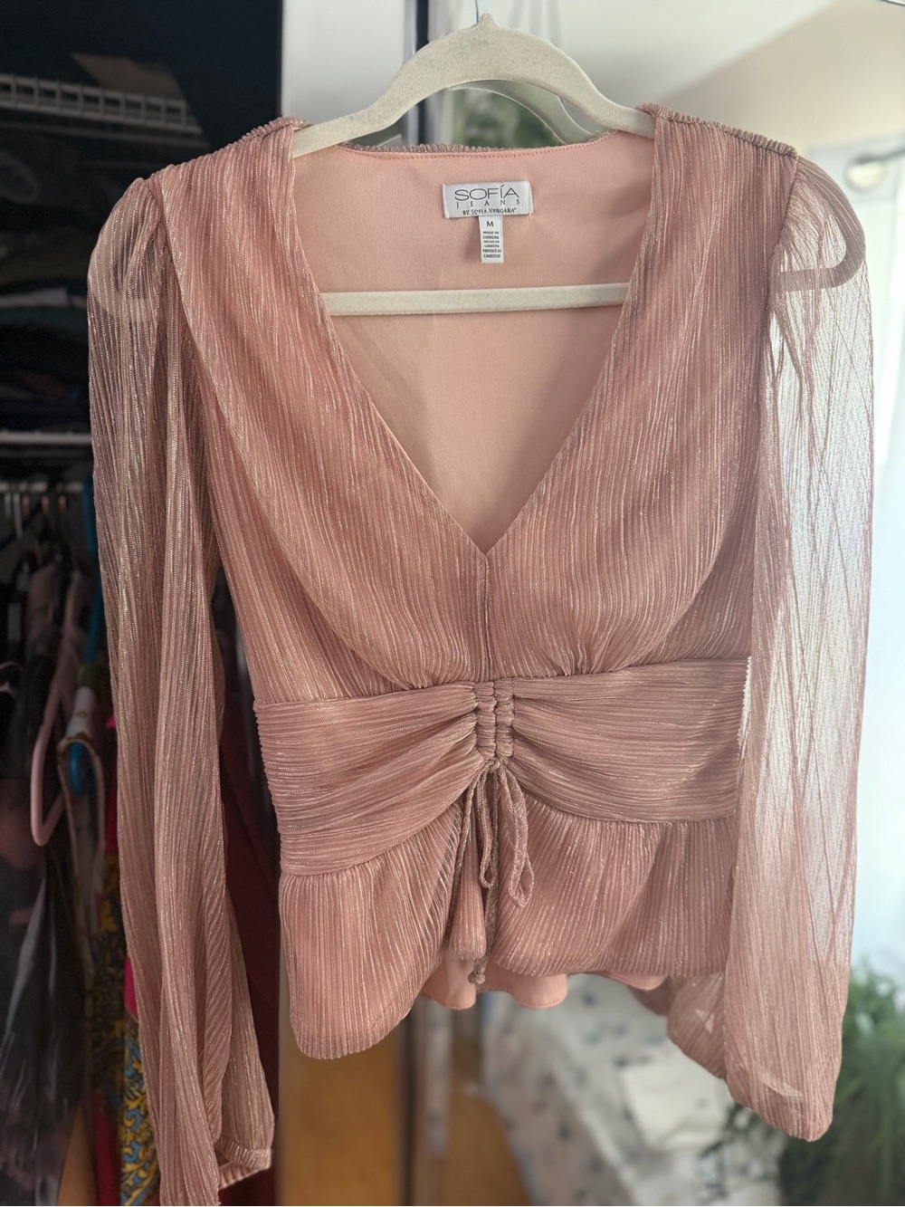 sofia by sofia vergara Rose Blush V-Neck Ruched Waist Sheer Sleeve Blouse